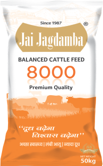 Premium Balanced Feed